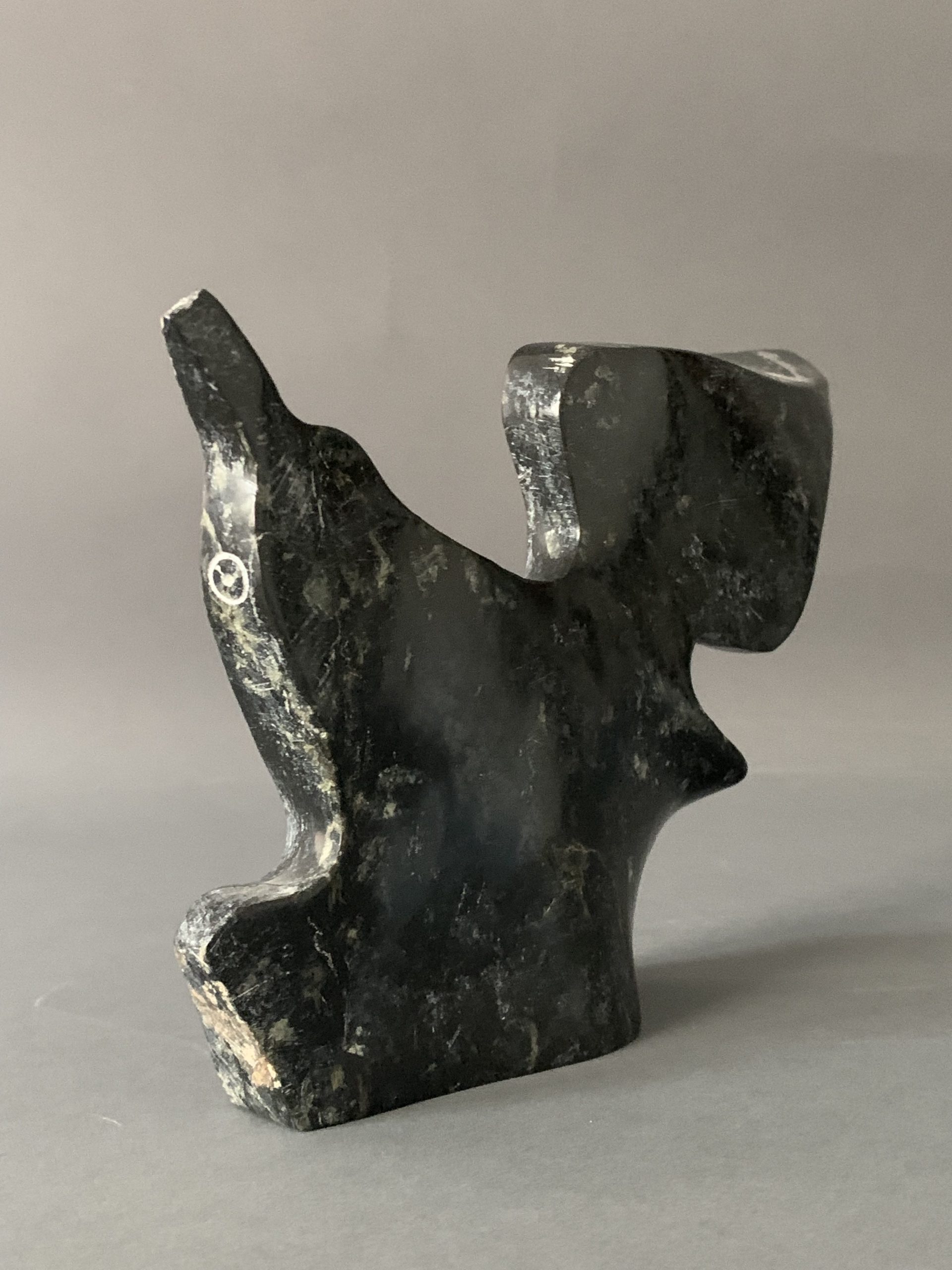 Bird _ Joe Poodat Bird _ Joe Poodat