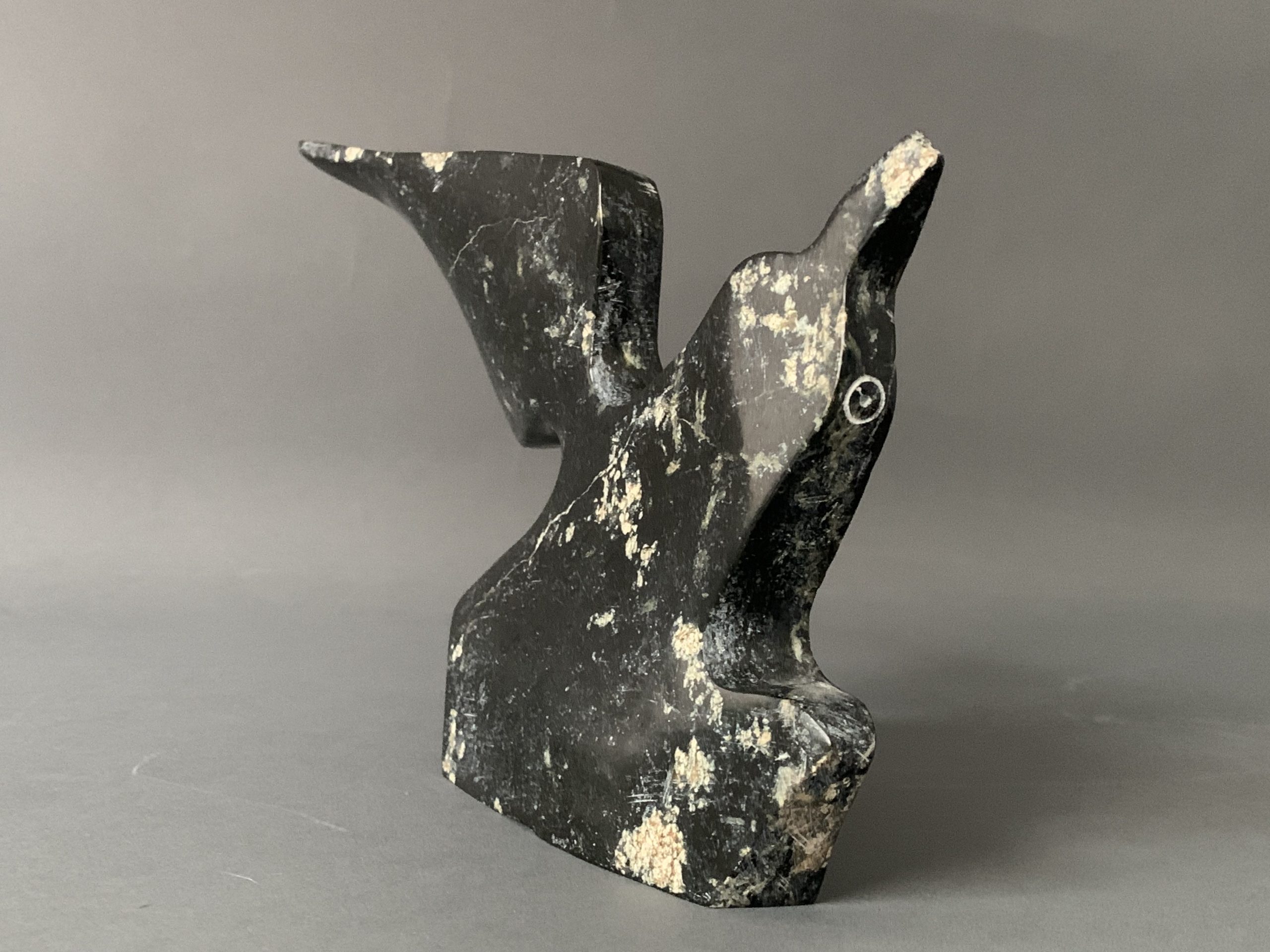 Bird _ Joe Poodat Bird _ Joe Poodat