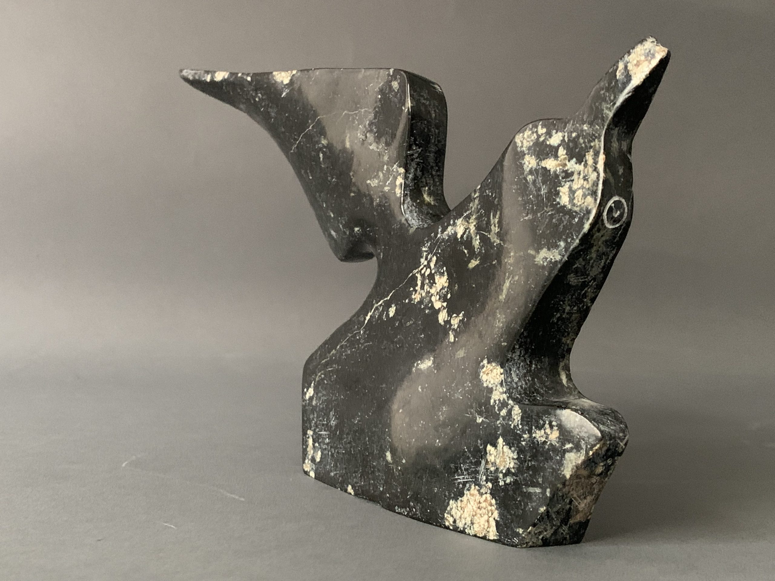 Bird _ Joe Poodat Bird _ Joe Poodat