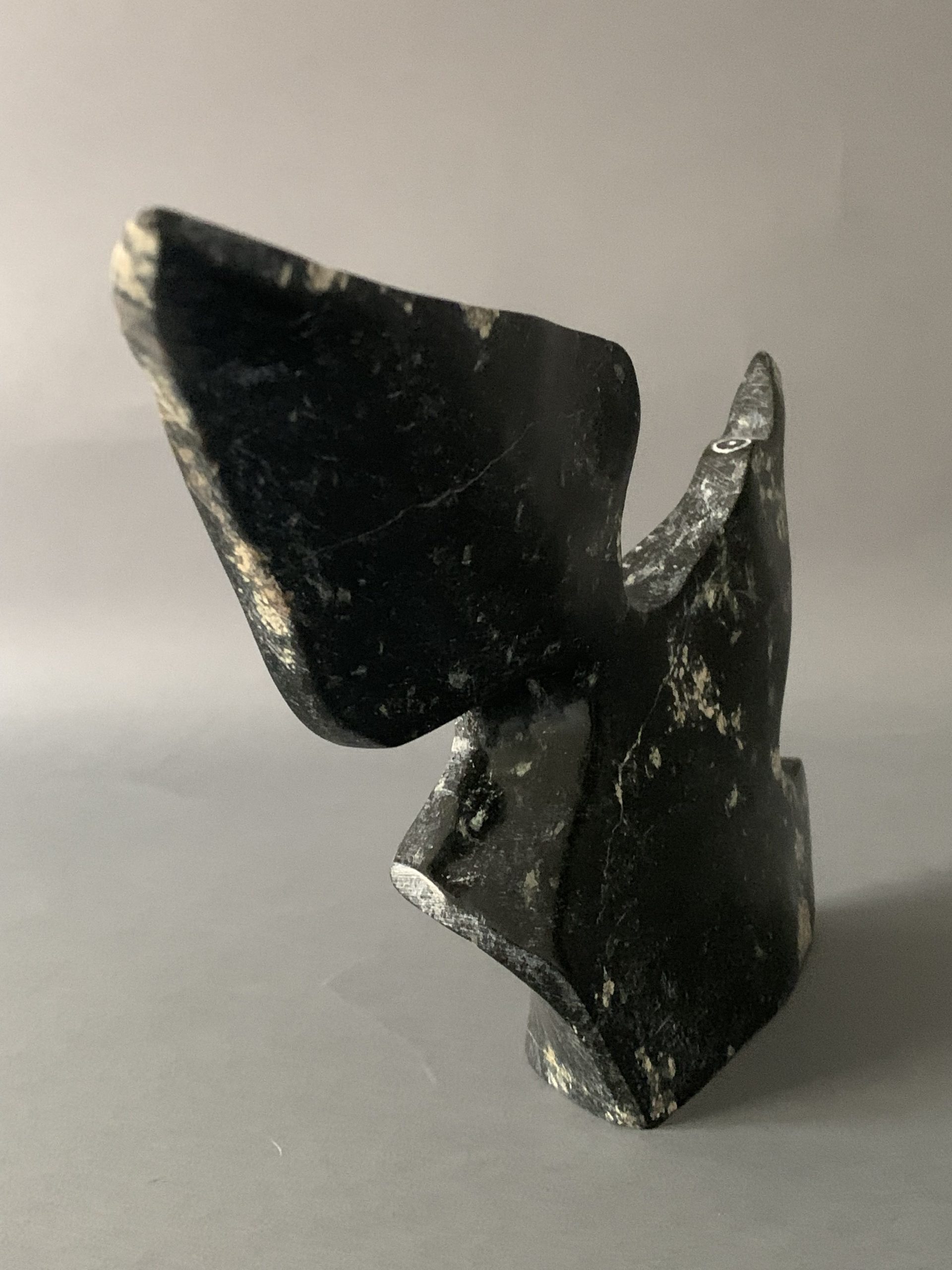 Bird _ Joe Poodat Bird _ Joe Poodat