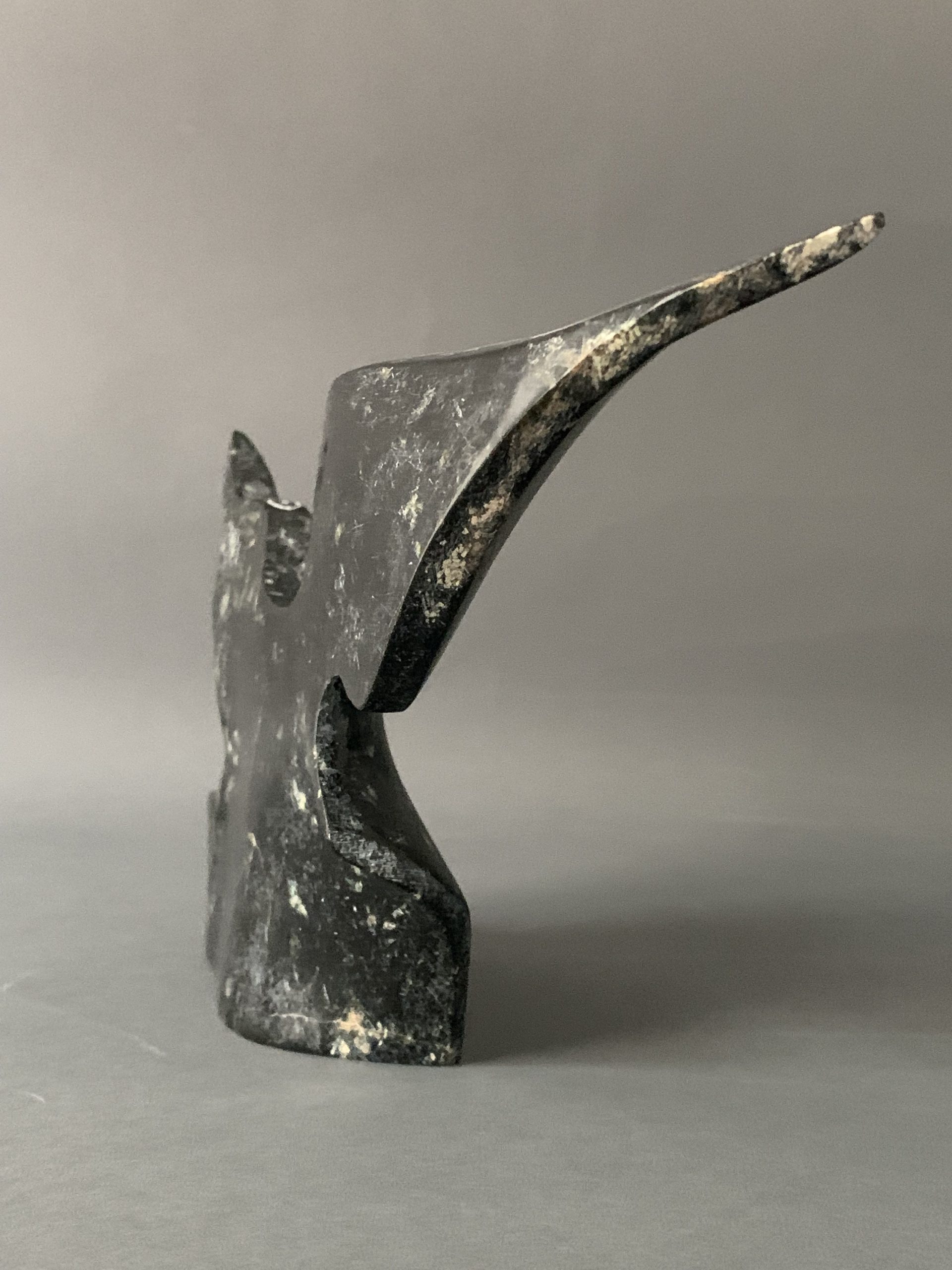 Bird _ Joe Poodat Bird _ Joe Poodat