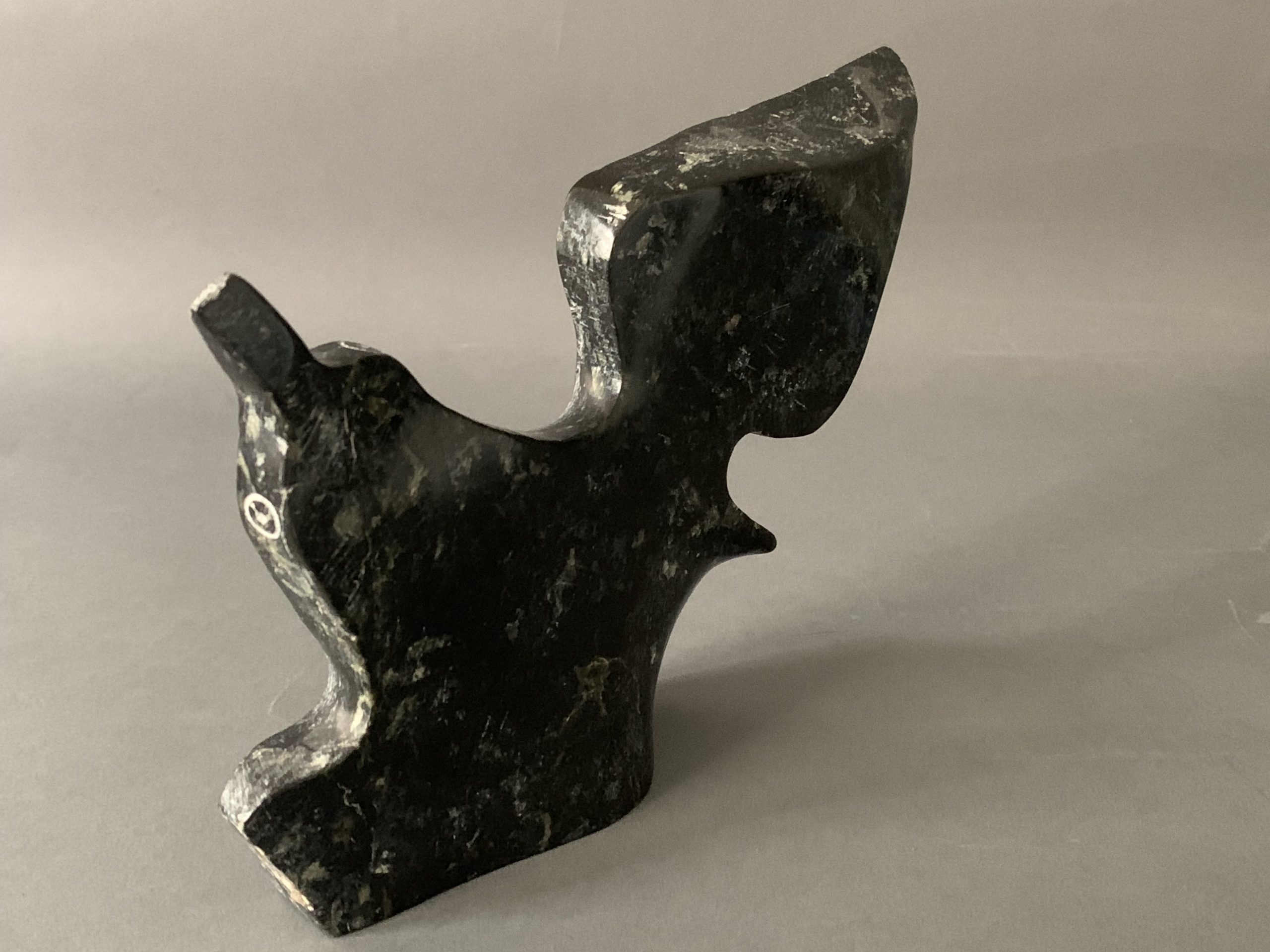 Bird _ Joe Poodat Bird _ Joe Poodat