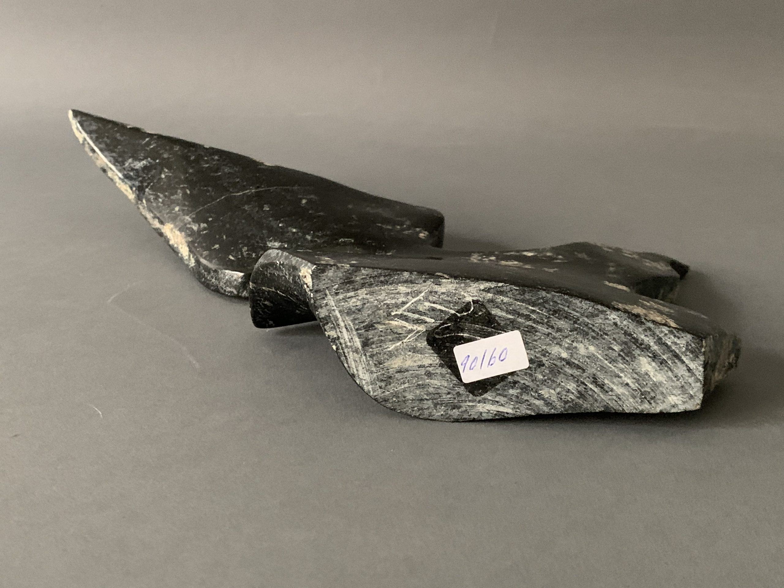 Bird _ Joe Poodat Bird _ Joe Poodat