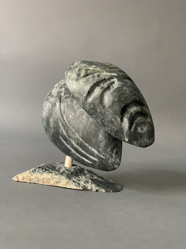 Shaman _ Simon Uttaq 