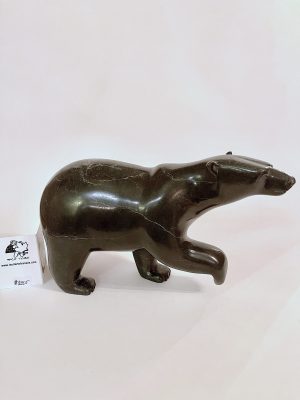 Walking Bear _ Tim Pee
