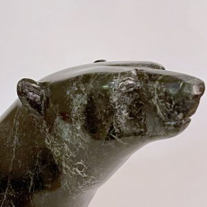 Walking Bear _ Tim Pee