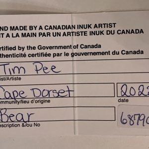 Walking Bear _ Tim Pee