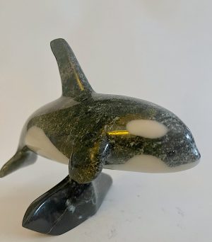 Orca _  Johnnysa Mathewsie