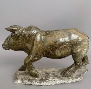 Bull