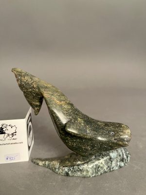 Orca _  Kelly Etelouie