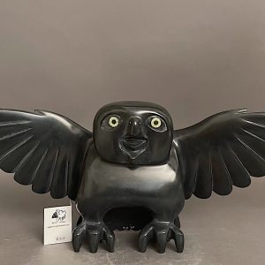Bird _  Toonoo Sharky