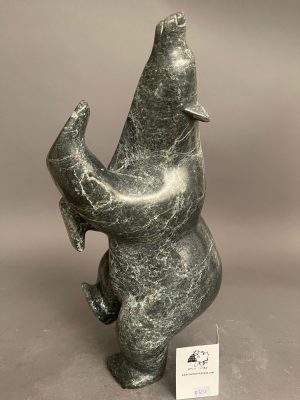 Dancing Bear _ Killiktee Killiktee