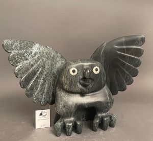 Owl _  Toonoo Sharky