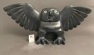 Owl _  Toonoo Sharky