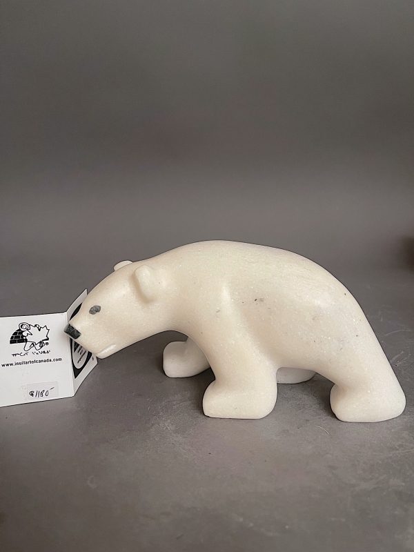 White Marble Bear _ Guy Unisararq
