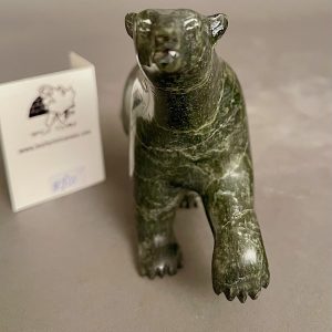 Walking Bear _ Tim Pee