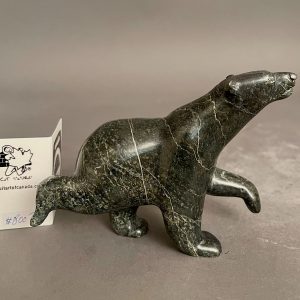 Walking Bear _ Tim Pee