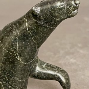 Walking Bear _ Tim Pee