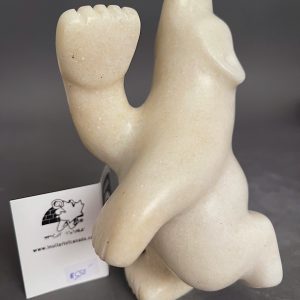 White Marble Bear _ Adamie Mathewsie