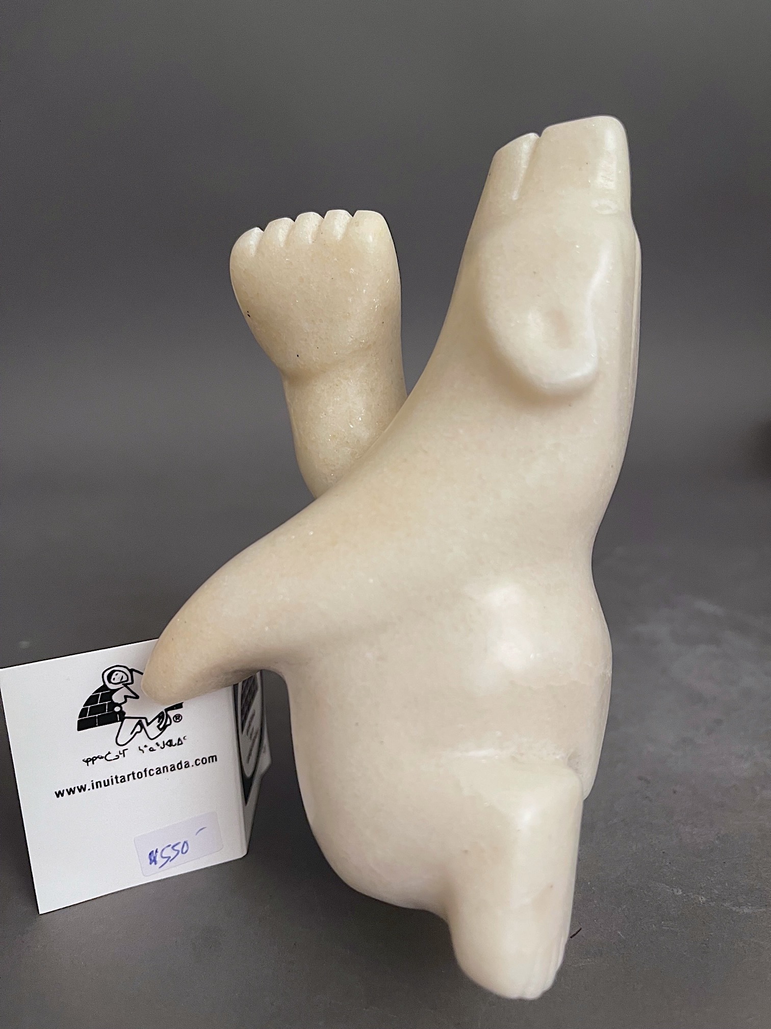 White Marble Bear _ Adamie Mathewsie White Marble Bear _ Adamie Mathewsie