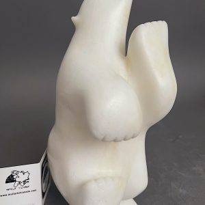 White Dancing Bear _  Sam Akesuk