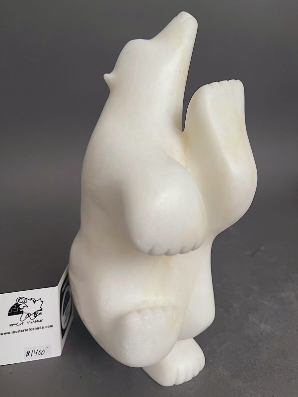 White Dancing Bear _  Sam Akesuk