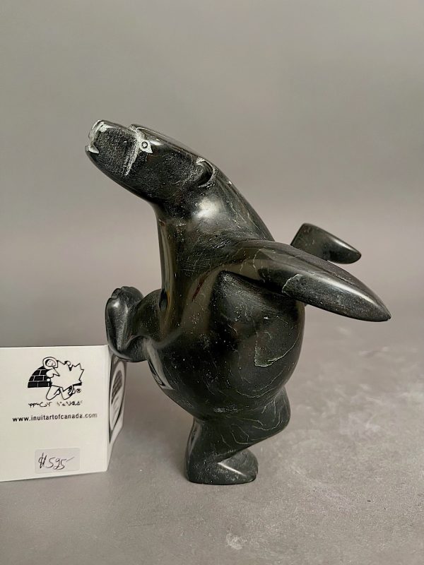 Dancing Bear _ Pits Qimirpik