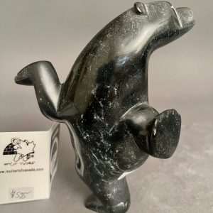 Dancing Bear _ Pits Qimirpik