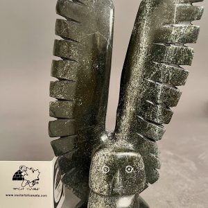 Beautiful Owl _ Sam Akesuk