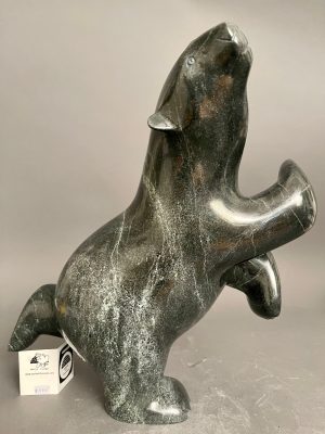 Dancing Bear _ Ashevak Adla
