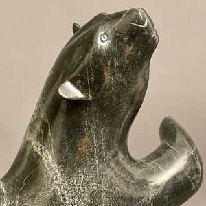 Dancing Bear _ Ashevak Adla