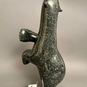 Dancing Bear _ Ashevak Adla