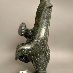 Dancing Bear _ Ashevak Adla