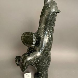 Dancing Bear _ Ashevak Adla