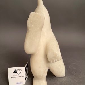 White Dancing Bear _ Adamie Mathewsie