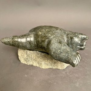 Swimming Bear _ Narmar Qupik