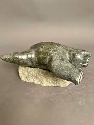 Swimming Bear _ Narmar Qupik