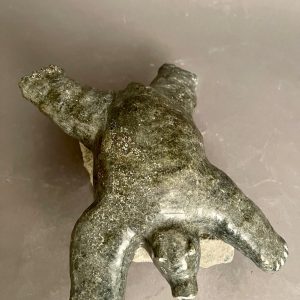Swimming Bear _ Narmar Qupik