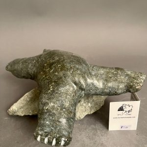 Swimming Bear _ Narmar Qupik
