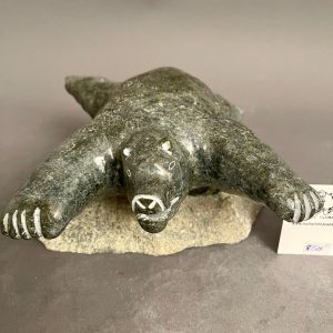 Swimming Bear _ Narmar Qupik