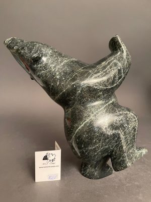 Dancing Bear _ Killiktee Killiktee