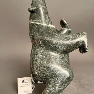 Dancing Bear _ Killiktee Killiktee