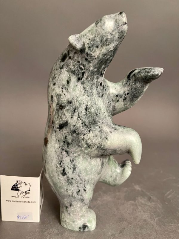 Dancing Bear _ Etelu Adla