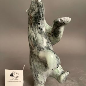 Dancing Bear _ Etelu Adla
