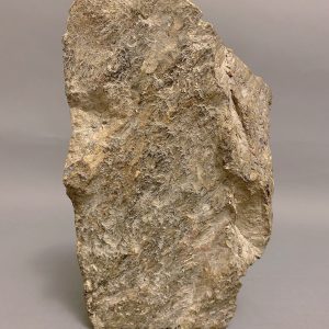 Inuk _  Putuguk Ashevak