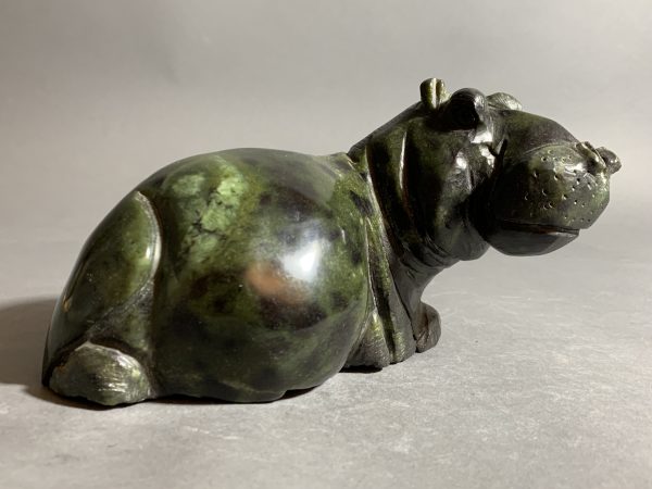 African Hippo 3