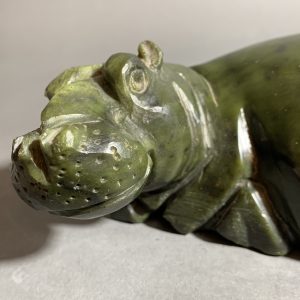 African Hippo 2