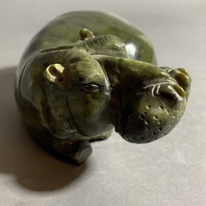 African Hippo 2