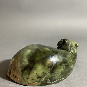 African Hippo 2