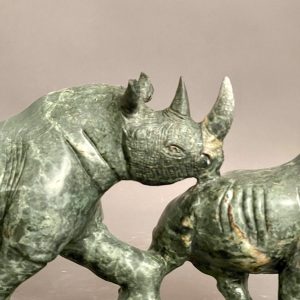 Mother Rhino And Babies